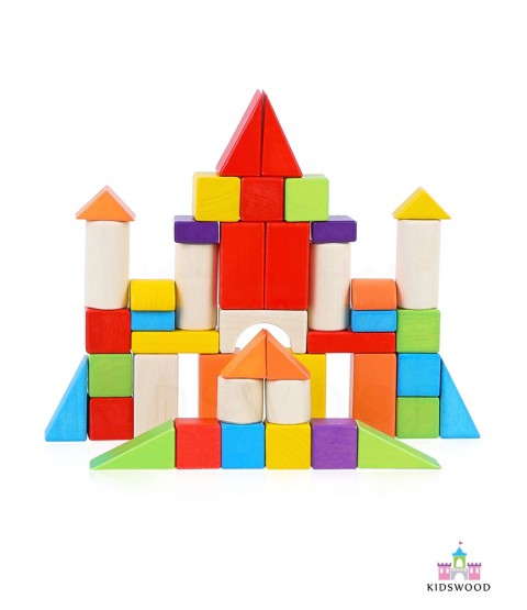 Wooden Colored Blocks (100 Pcs)