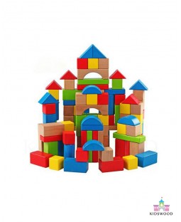 Classic Colored Blocks (100 Pcs)