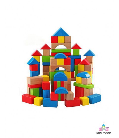 Classic Colored Blocks (100 Pcs)