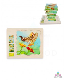 Butterfly Life Cycle Puzzle  (Multi Layered) 