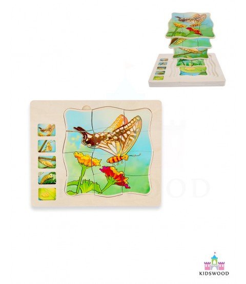 Butterfly Life Cycle Puzzle  (Multi Layered) 